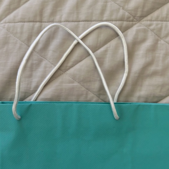 Tiffany & Company Shopping Gift Bag tote - Picture 9 of 16